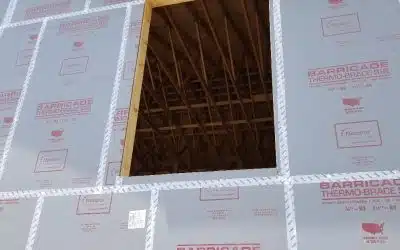 Mold-Resistant Sheathing: Adding Value with Superior Mold & Moisture Protection