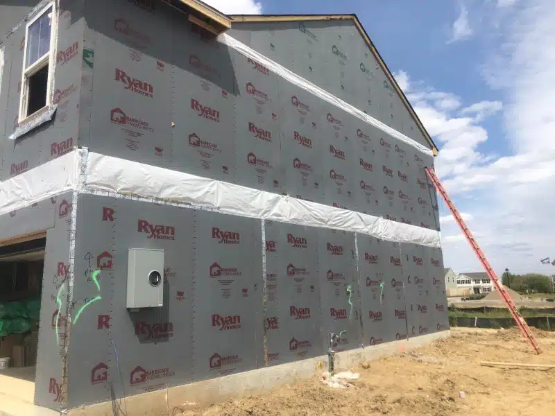 BBP Thermo brace Custom Print 2