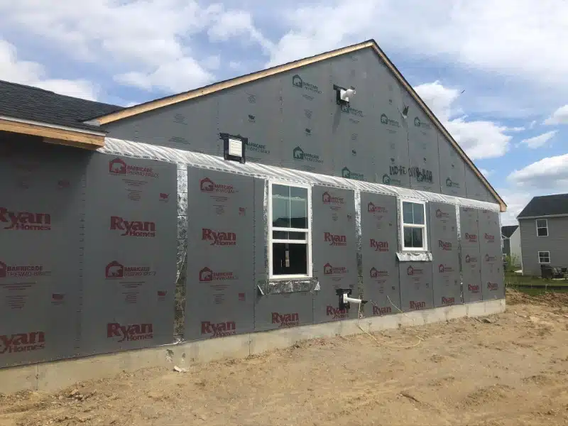 BBP Thermo brace Custom Print