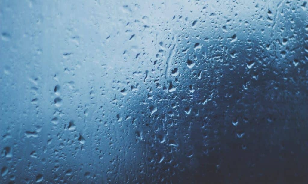 rain on window